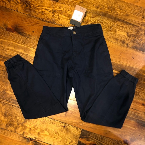 the north face moeser jogger